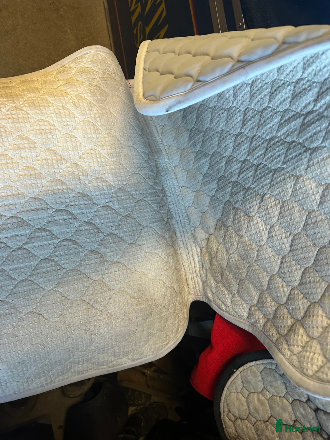 Schabrak & Vojlockar hästutrustning till salu: CT schabrak  - Annons 3