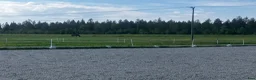  foderhäst sökes: Söker betes kompis  i Umeå - Annons 1