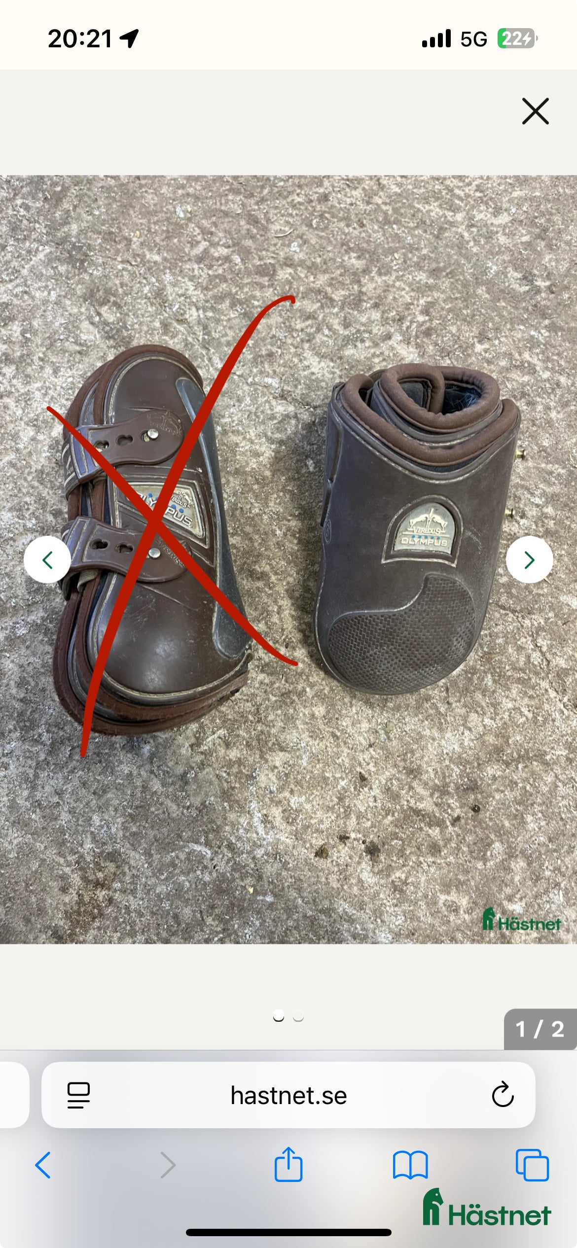 Benskydd hästutrustning till salu: Bruna veredus  i Landsbro - Annons 20