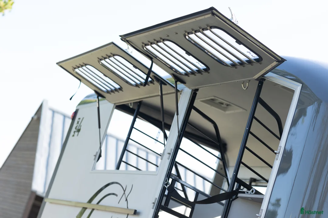 Hästtransporter  fordon & transport till salu: Cheval Liberté Maxi 4 Diagonallastad - Annons 8