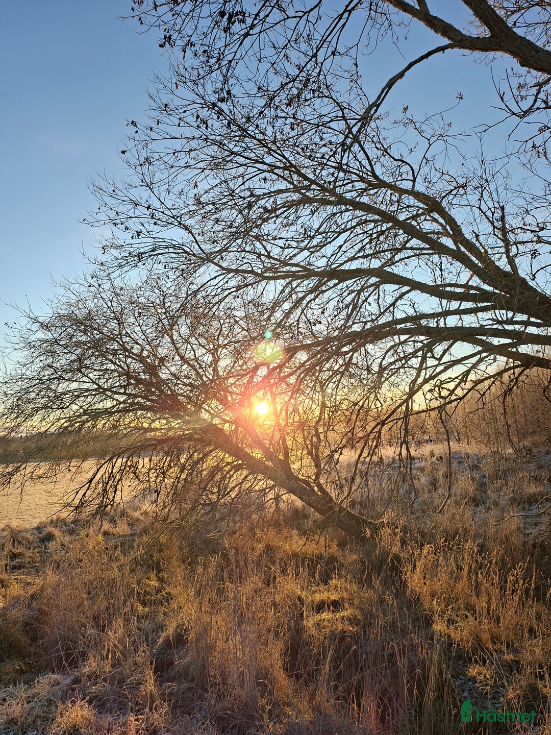  stallplats finnes: Lösdriftsplats i vacker natur i Sturefors - Annons 3