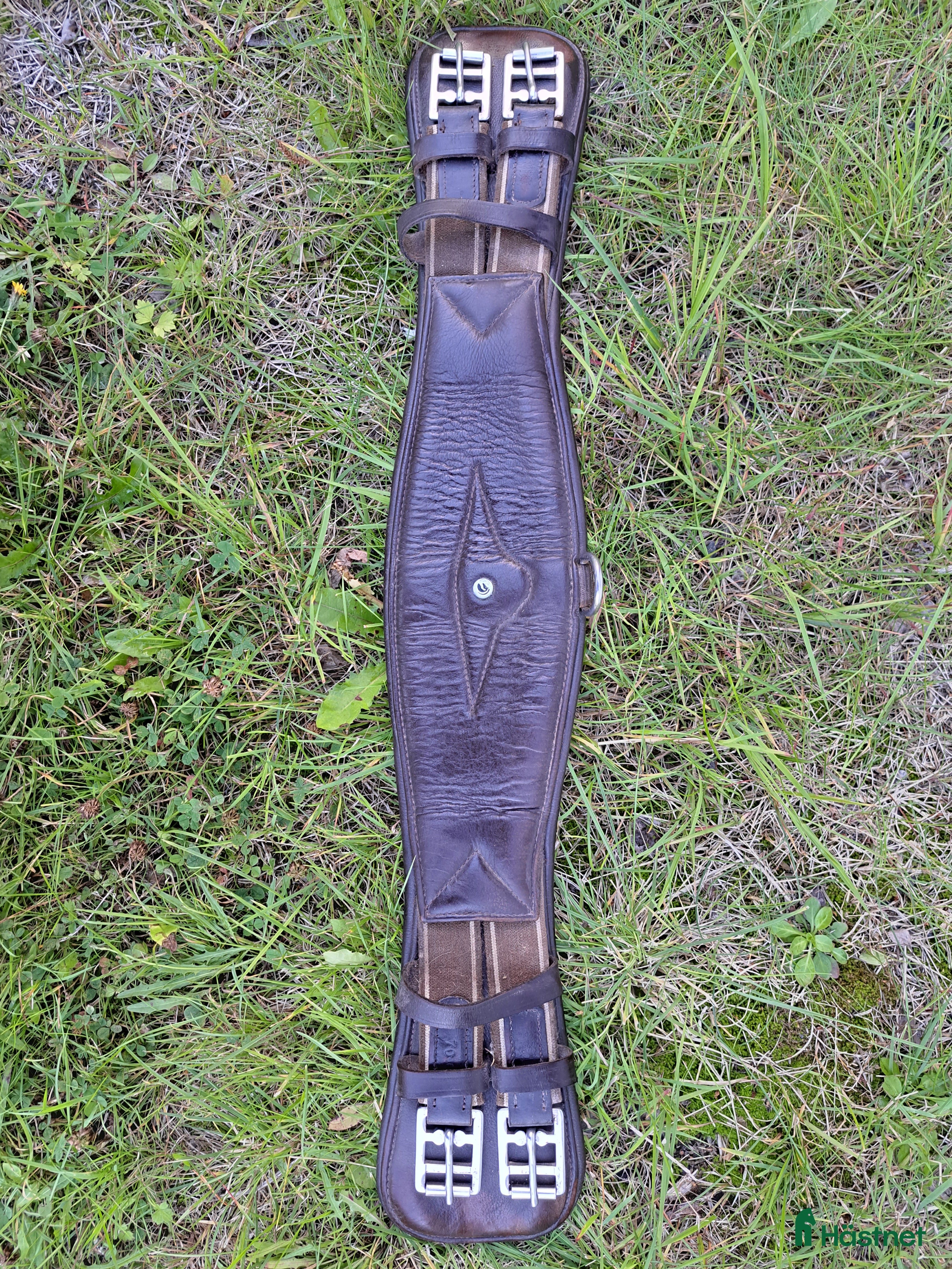 Sadeltillbehör hästutrustning till salu: Dressyrgjord 70 cm i Nordmaling - Annons 7