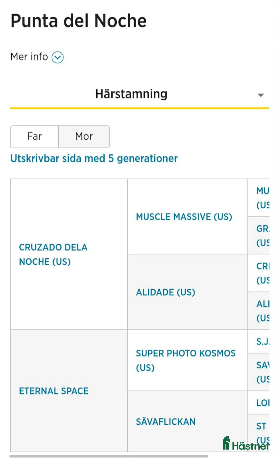 Trav hästar till salu: 2 åring - Annons 8