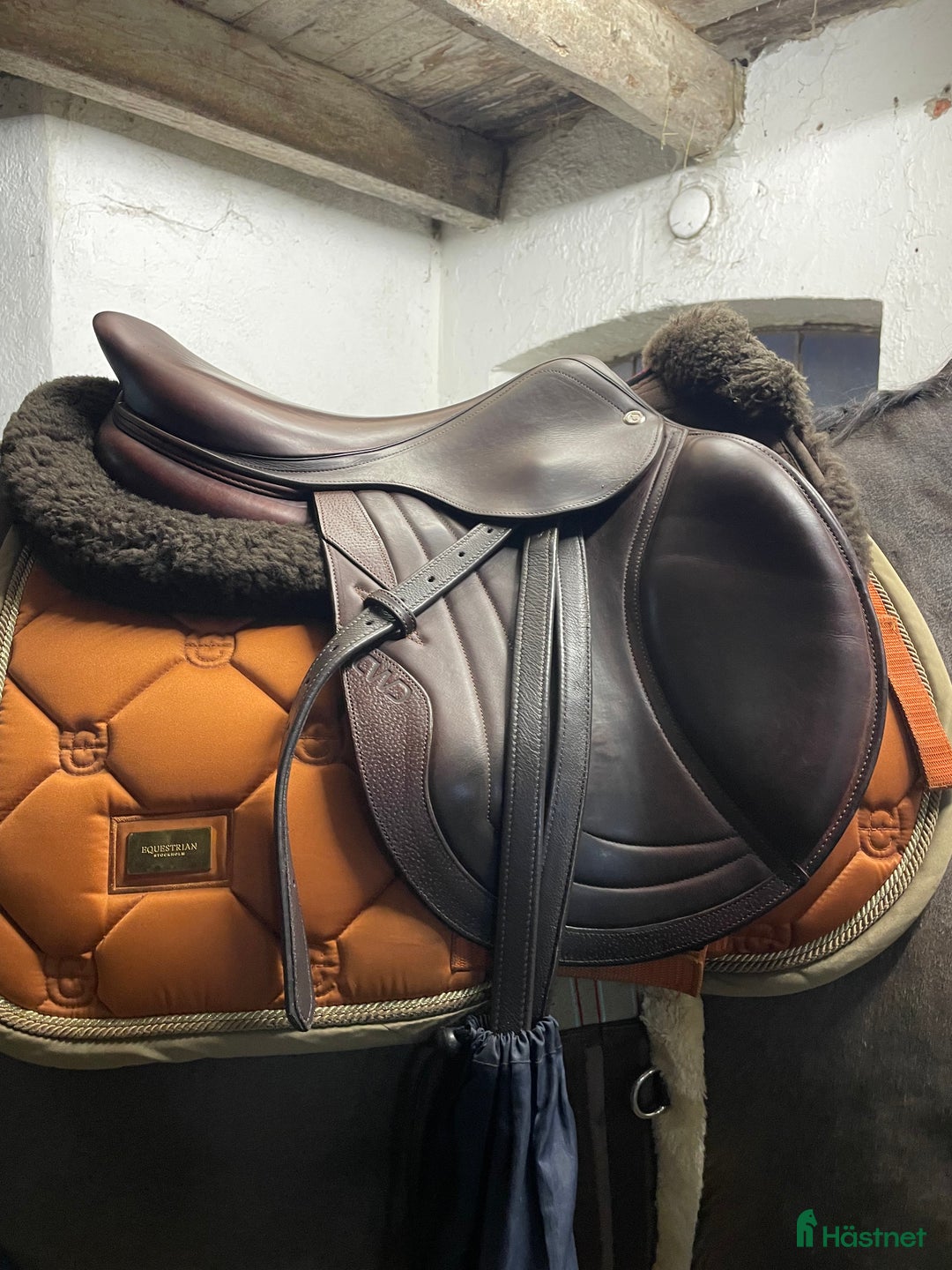 Sadlar hästutrustning till salu: Fin CWD i Trelleborg - Annons 4