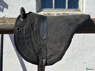 Schabrak & Vojlockar hästutrustning Barbackapadd - Annons 1