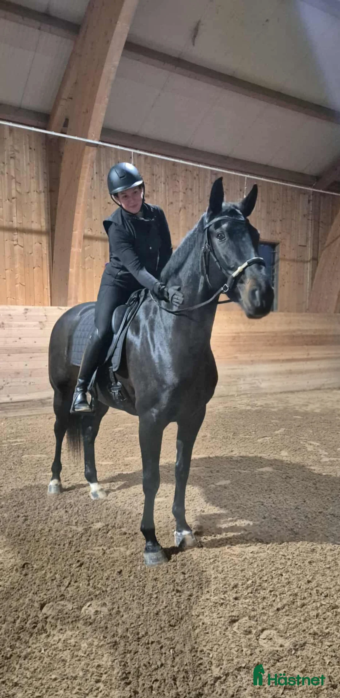 Hoppning hästar till salu: Arbetsvilligt sto för den orädda ryttaren  i Fagersta - Annons 4