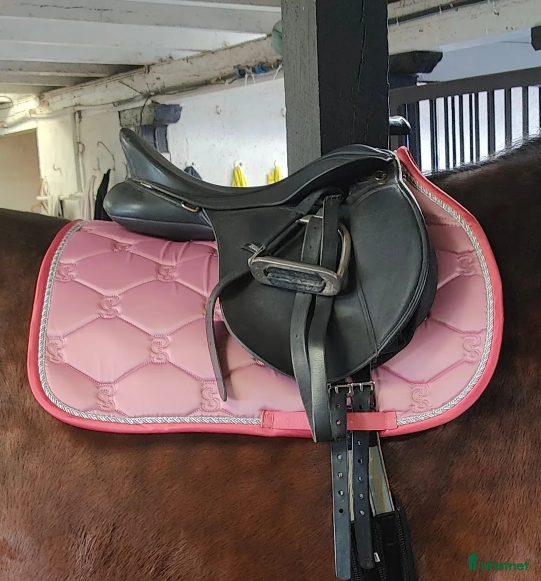 Sadlar hästutrustning till salu: Svart Wintec Wide CAIR 2 koppjärn - Annons 1