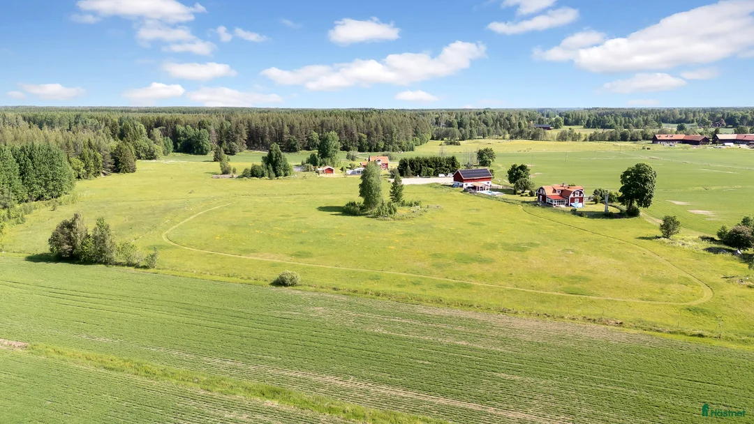  stallplats finnes: Sommarbete juni-augusti - Annons 1