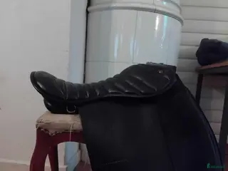 Sadlar hästutrustning till salu: Äldre Karlslund - Annons 1