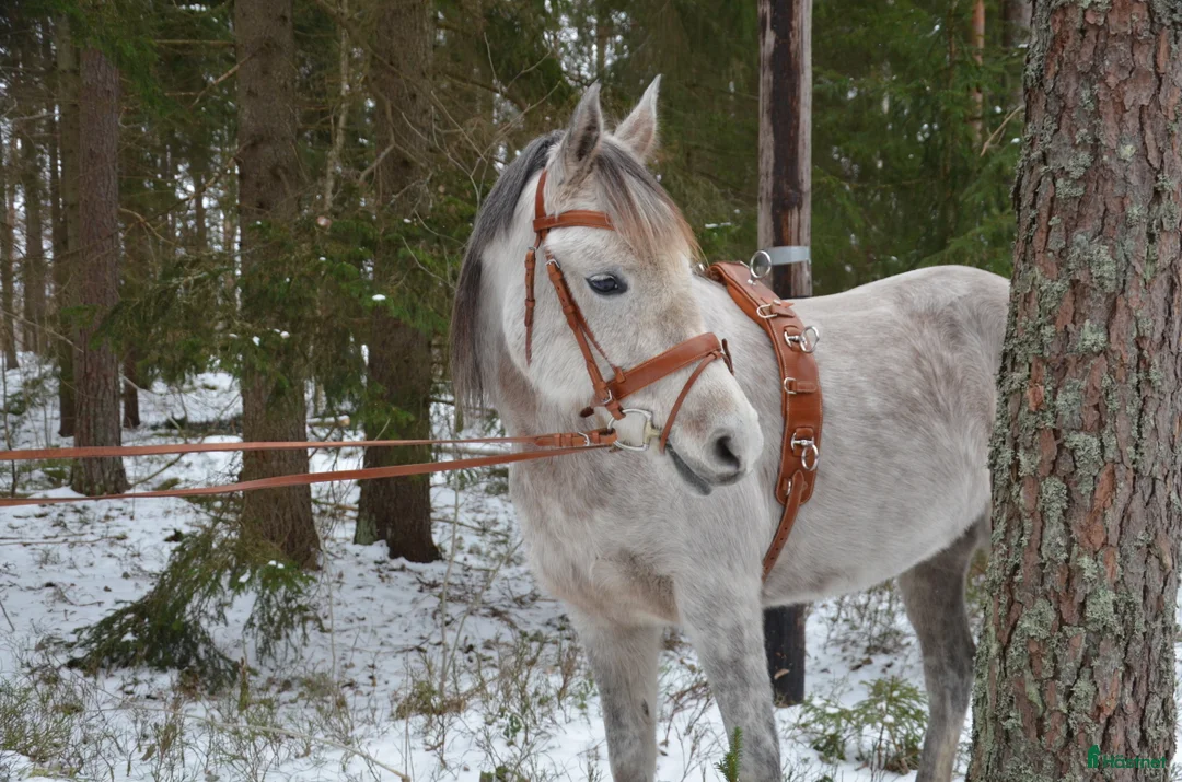 Övrig Körutrustning körning till salu: Tömkörningsdäckel i Vännäs - Annons 3