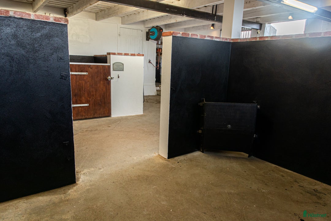  stallplats finnes: Stallplats med fullservice  i Bjärnum - Annons 5