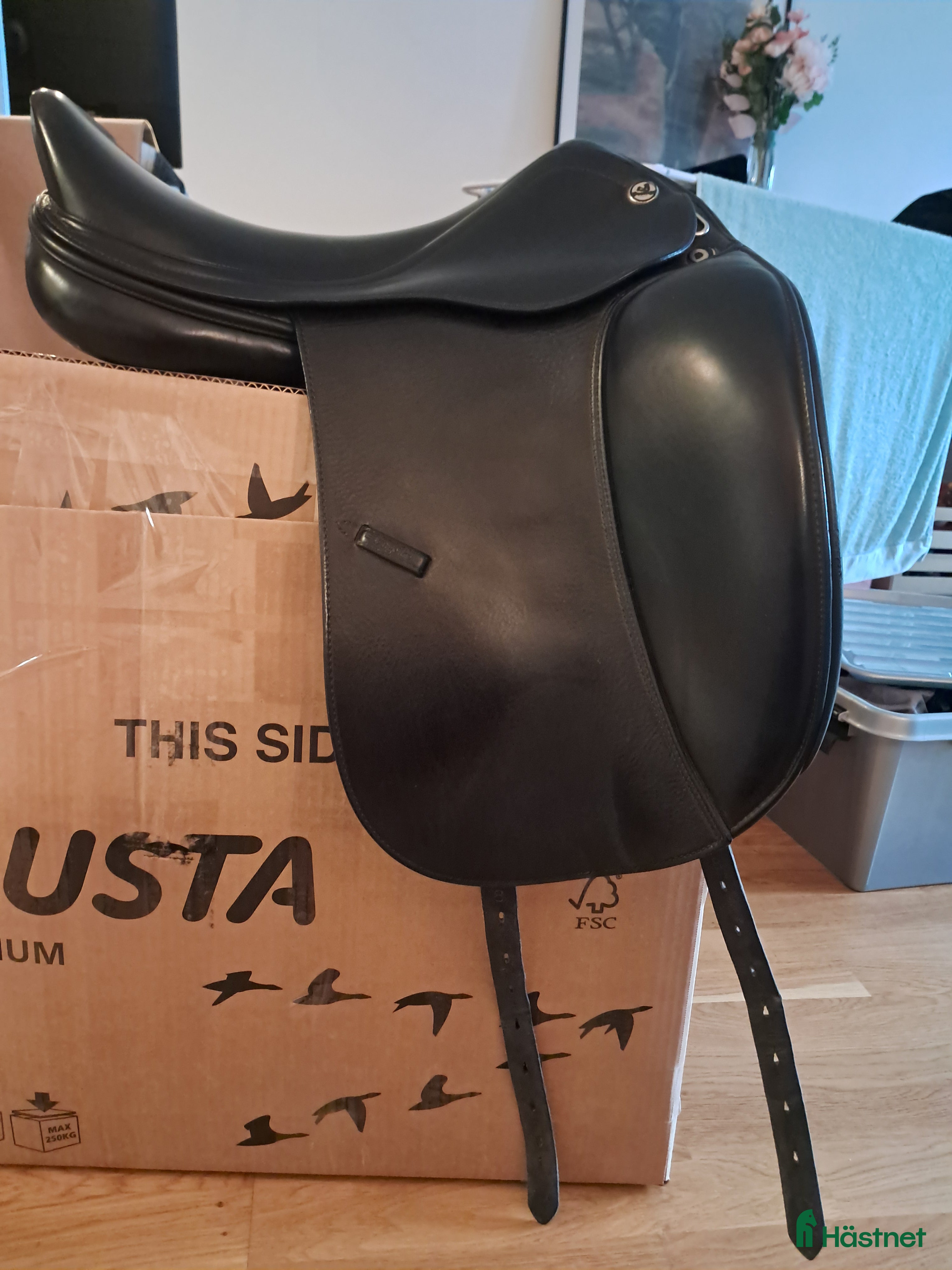 Sadlar hästutrustning Prestige icelandic D1 - Annons 6