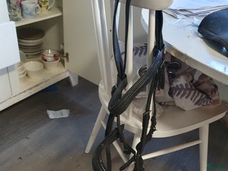 Träns hästutrustning till salu: Svart träns i Herrljunga - Annons 1