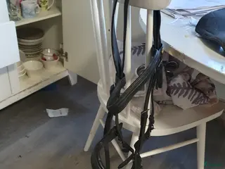 Träns hästutrustning Svart träns i Herrljunga - Annons 19