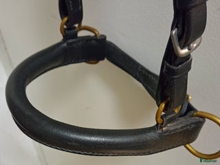 Träns hästutrustning till salu: Bettlöst till träns cob i Stigtomta - Annons 2