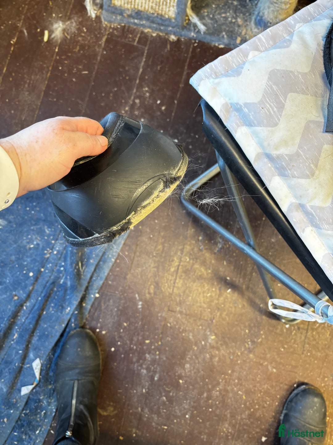 Benskydd hästutrustning till salu: Benskydd BoT i Hudiksvall - Annons 8