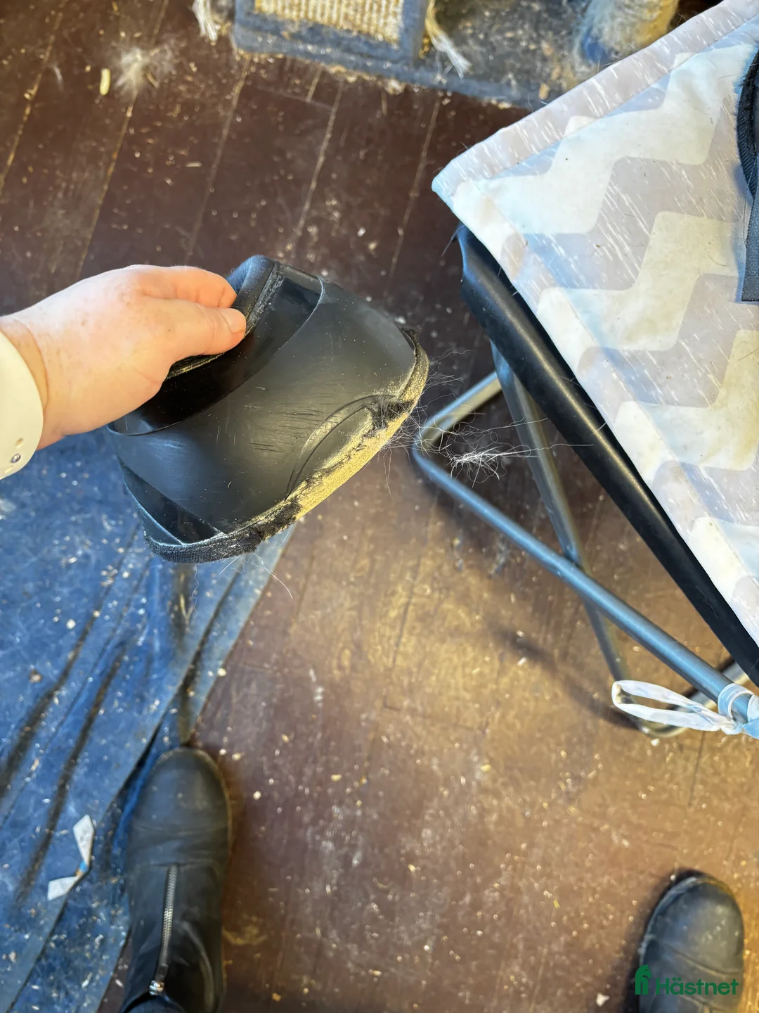 Benskydd hästutrustning till salu: Benskydd BoT i Hudiksvall - Annons 8