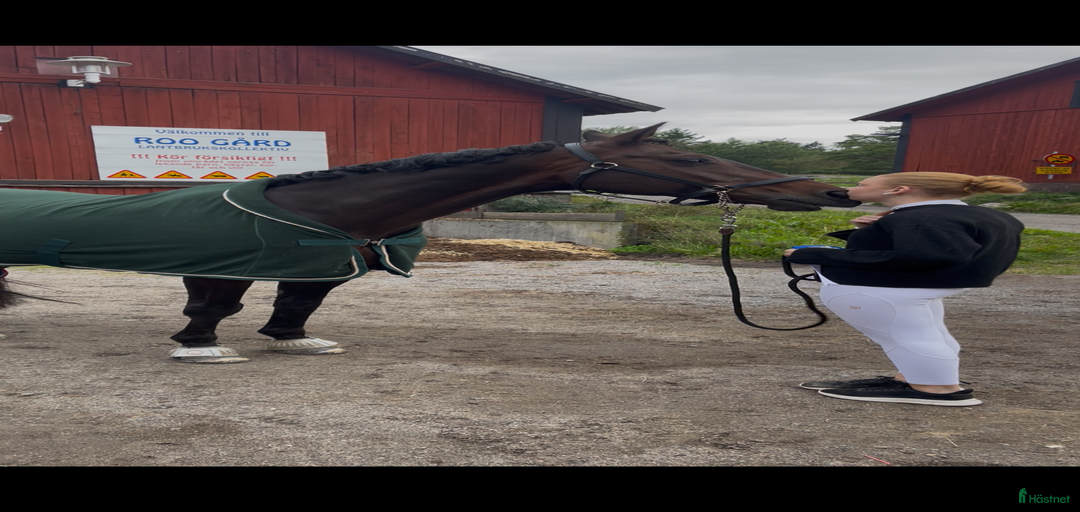 Galleribild {{count}}