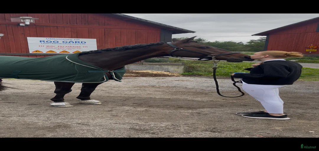 Galleribild {{count}}