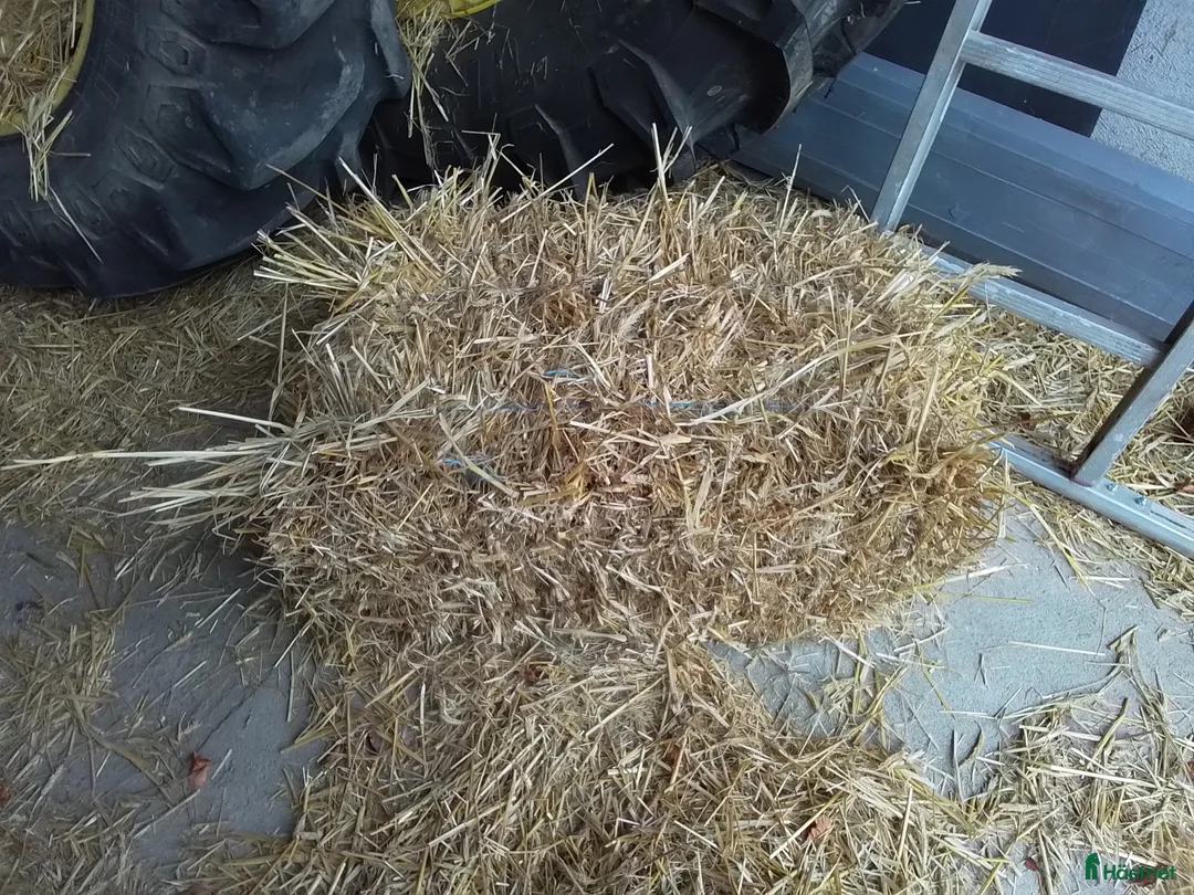 Övrig utrustning övrig utrustning till salu: Hösilage o halm i småbal - Annons 3