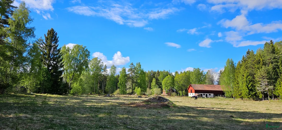 Allround hästar sökes: Mor och dotterhäst - Annons 1