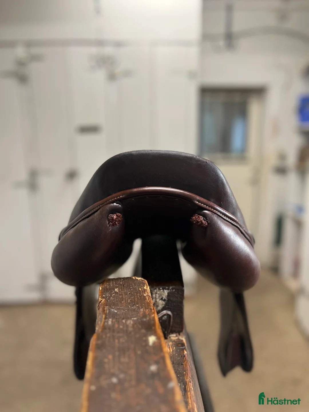 Sadlar hästutrustning till salu: Equiline EQ1 säljes - Annons 5