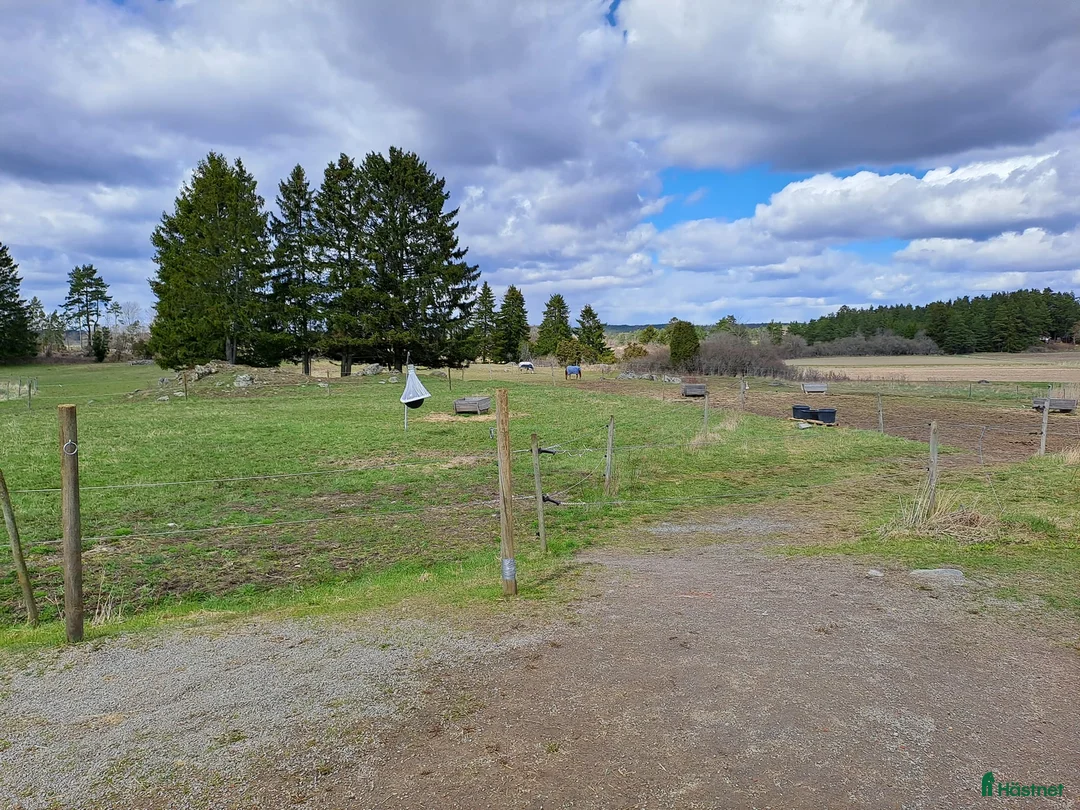  stallplats finnes: Kollektiv eller Service Adolfsbergs stallet i Bro - Annons 9