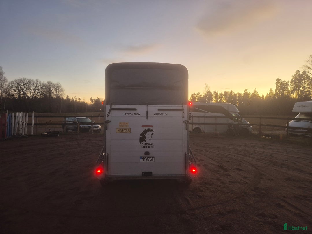 Hästtransporter  fordon & transport till salu: Cheval Touring viktad för B-kort i Falun - Annons 7