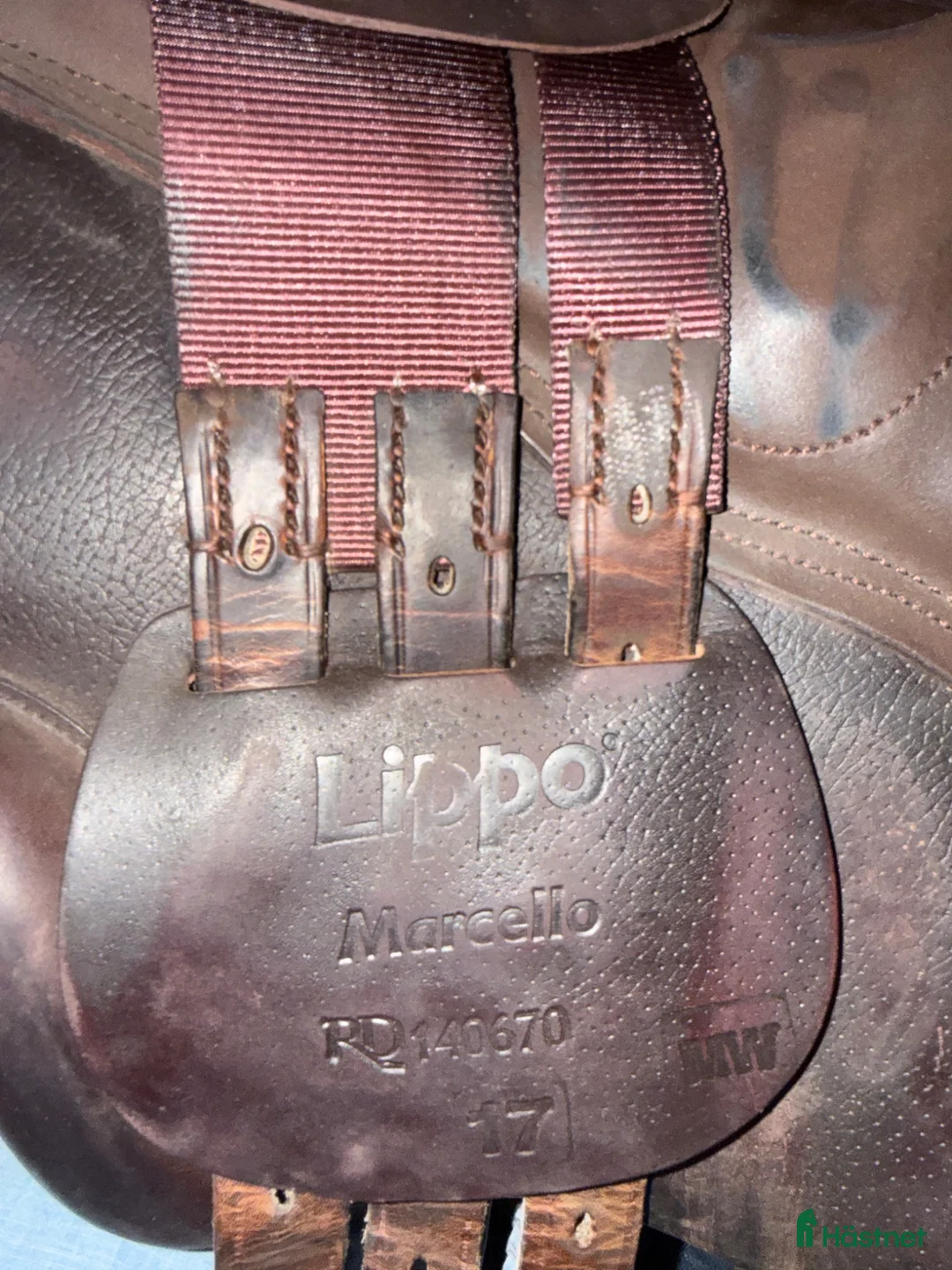 Sadlar hästutrustning till salu: Lippo Marcello - Annons 2