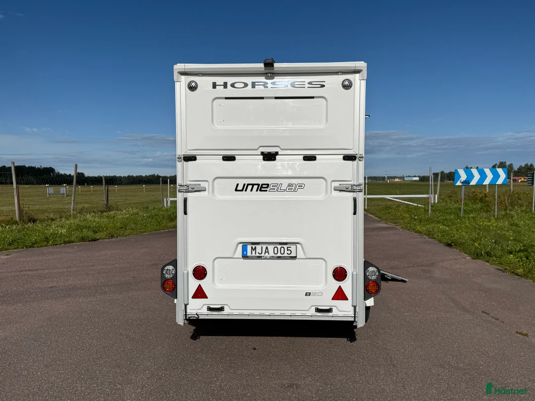 Hästtransporter  fordon & transport till salu: UME B50 -18 - Annons 5