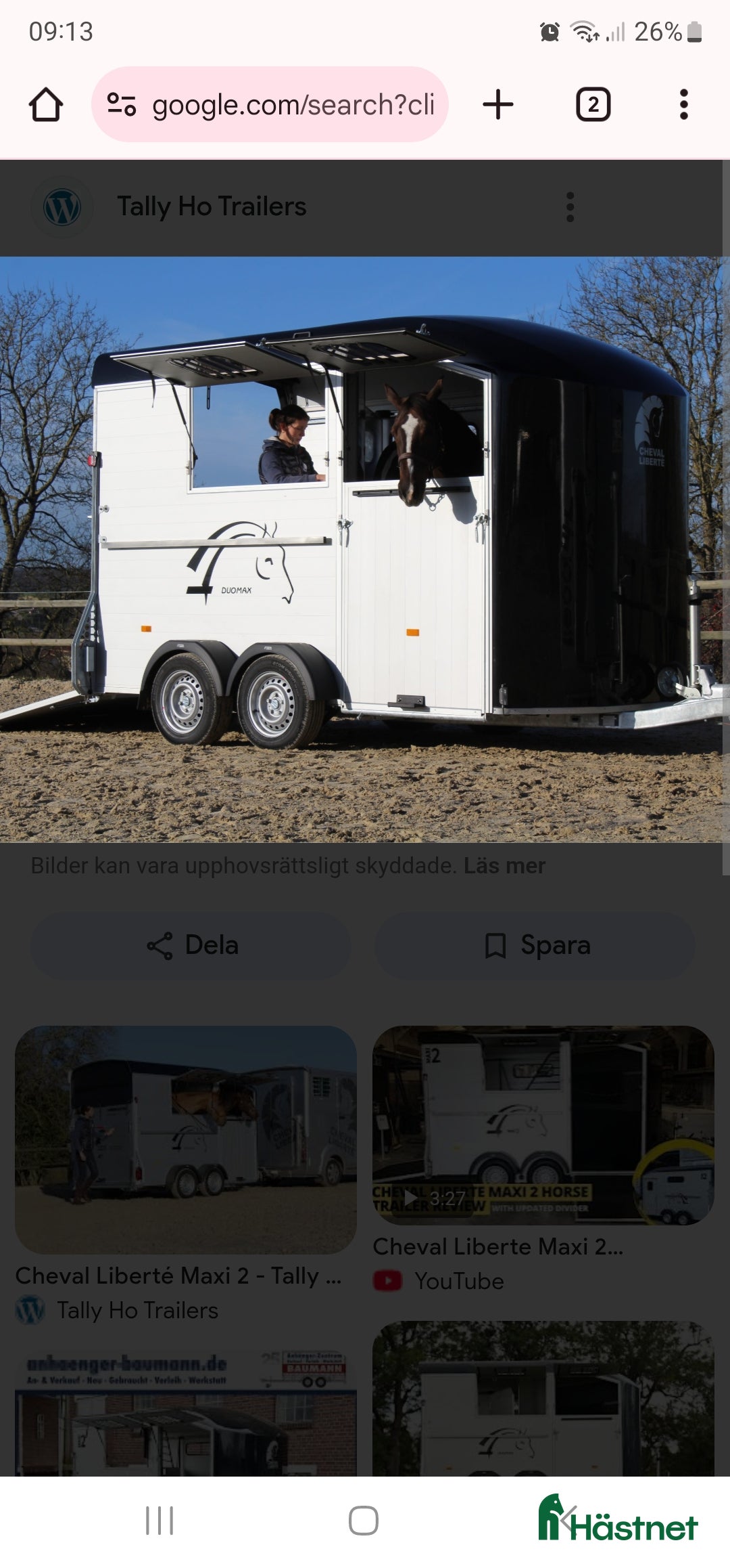 Hästtransporter  fordon & transport till salu: SÖKES, diagonallastad transport i Örkelljunga - Annons 15