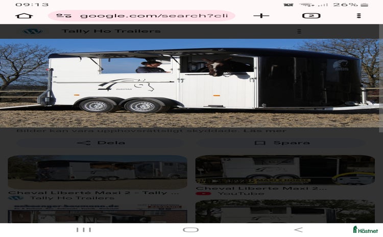 Hästtransporter  fordon & transport till salu i Örkelljunga - Annons 14