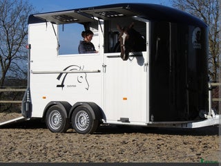 Hästtransporter fordon & transport till salu: SÖKES, diagonallastad transport i Örkelljunga - Annons 5