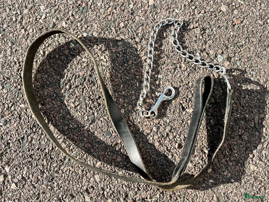 Övrig Hästutrustning hästutrustning till salu: Ponnysaker i Västerås - Annons 23