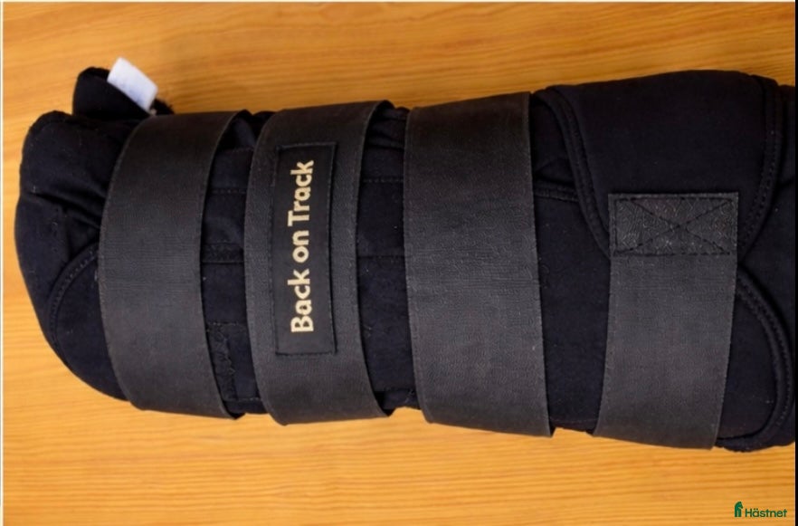 Benskydd hästutrustning Back on track  - Annons 9