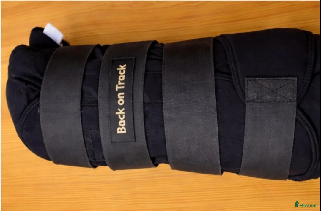 Benskydd hästutrustning till salu: Back on track  - Annons 1