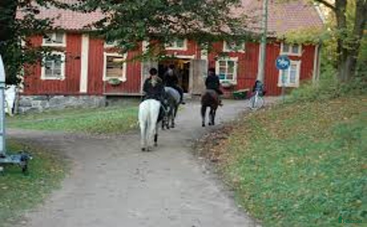  stallplats i Göteborg - Annons 8