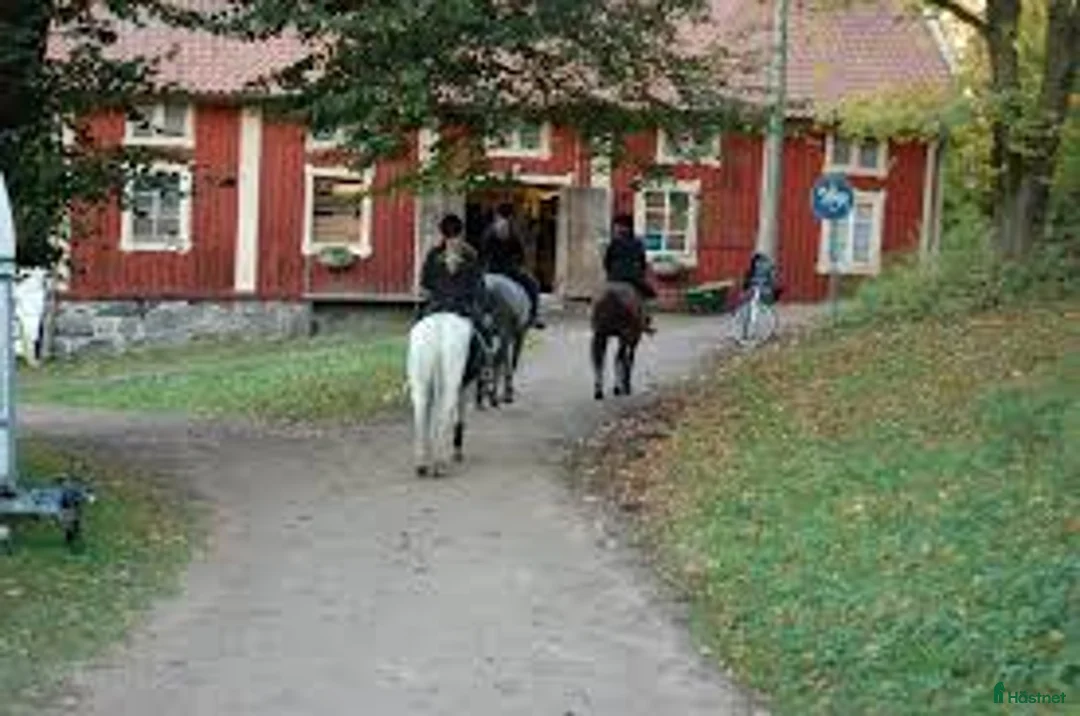 stallplats finnes: Stall plats uthyres i Göteborg - Annons 1