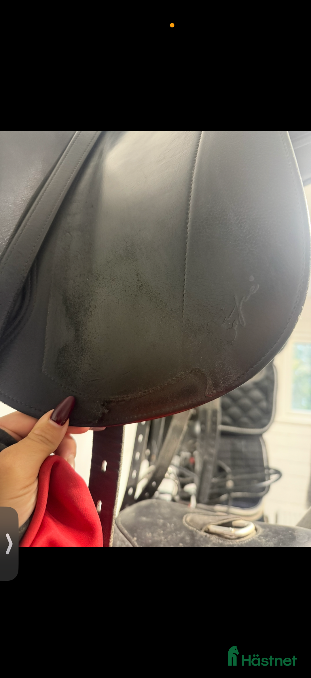 Sadlar hästutrustning till salu: Equipe Emporio special i Kil - Annons 8