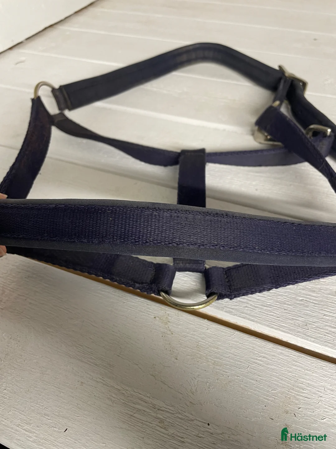 Övrig Hästutrustning hästutrustning till salu: Blå grimma - Annons 4