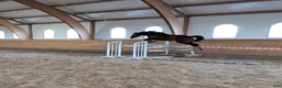 Hoppning hästar till salu: 3-åring med stor potential! - Annons 1