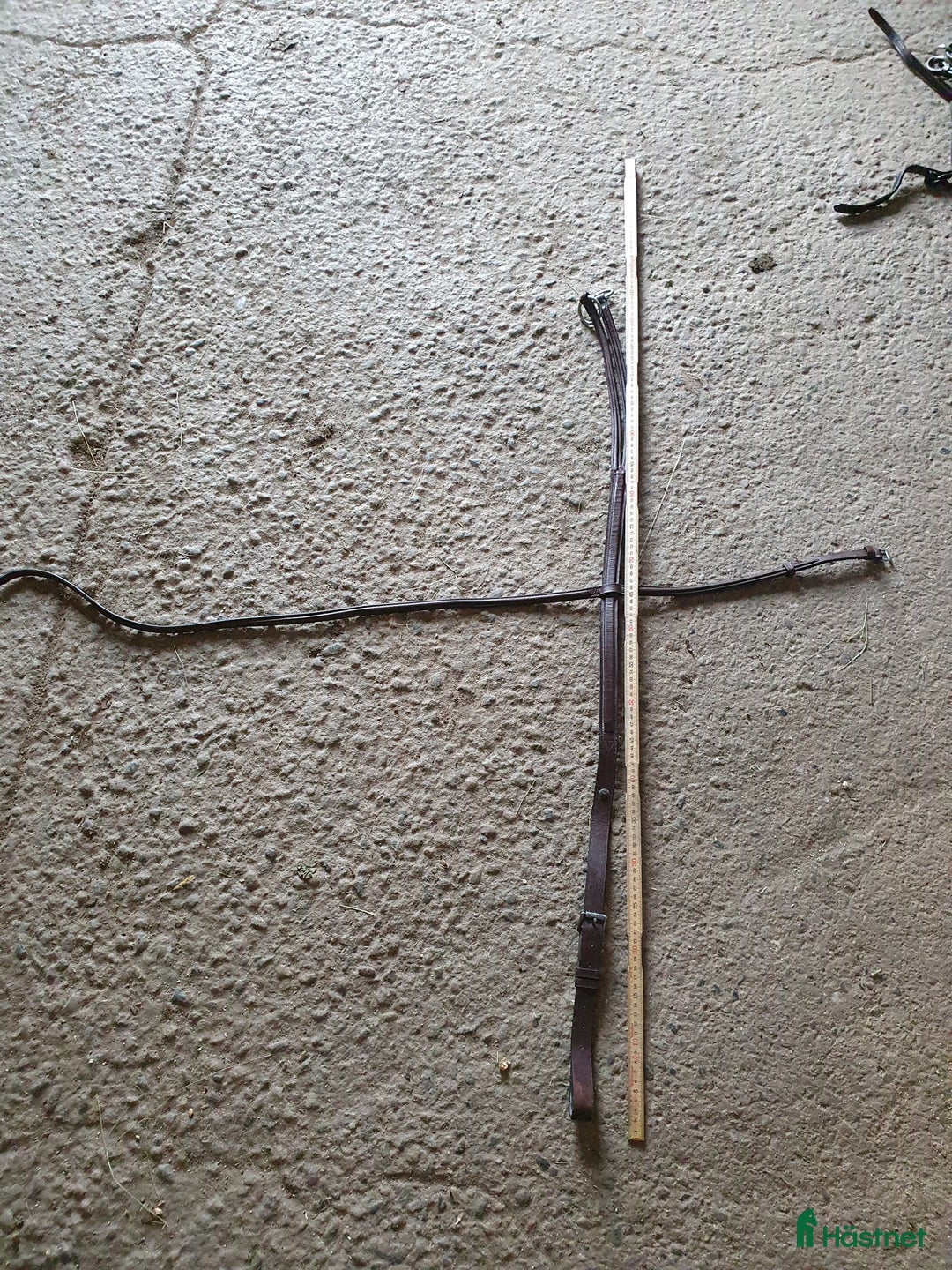 Övrig Hästutrustning hästutrustning till salu: Brun martingal i Näsåker - Annons 4