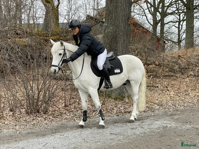 Galleribild {{count}}