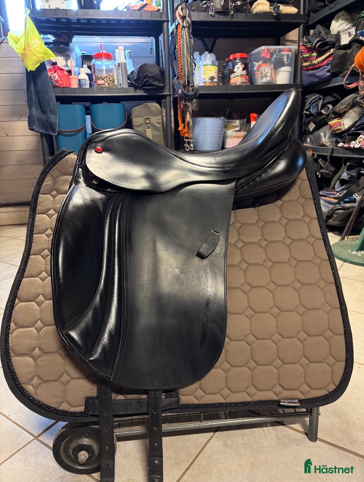 Sadlar hästutrustning Albion Adjusta Legend K2 - Annons 11