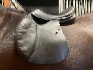 Sadlar hästutrustning till salu: Amerigo DJ i Grimslöv - Annons 14