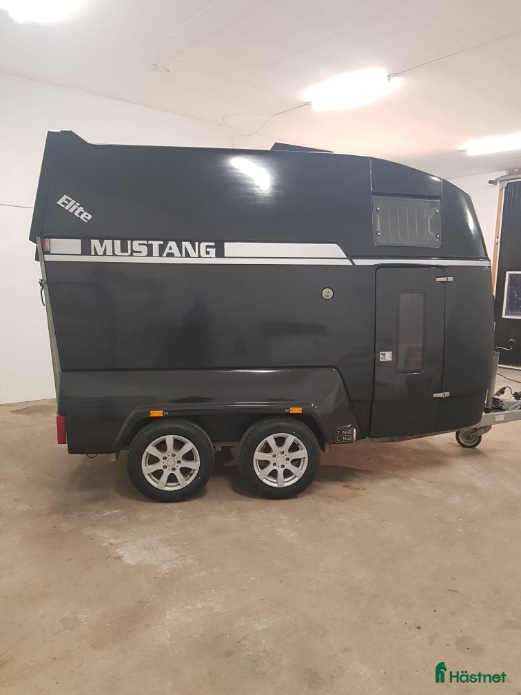 Hästtransporter  fordon & transport till salu: Hästtransport för den kräsna- Mustang Elit - Annons 1