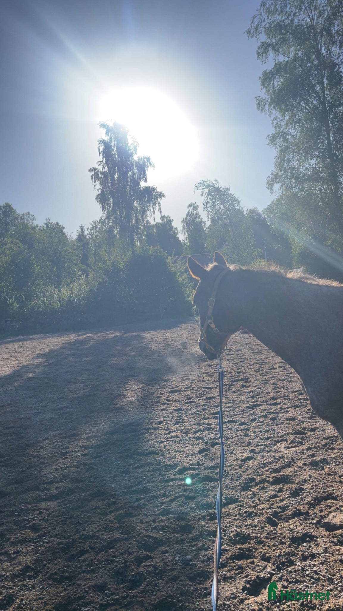  stallplats Stallplats finnes - Annons 4