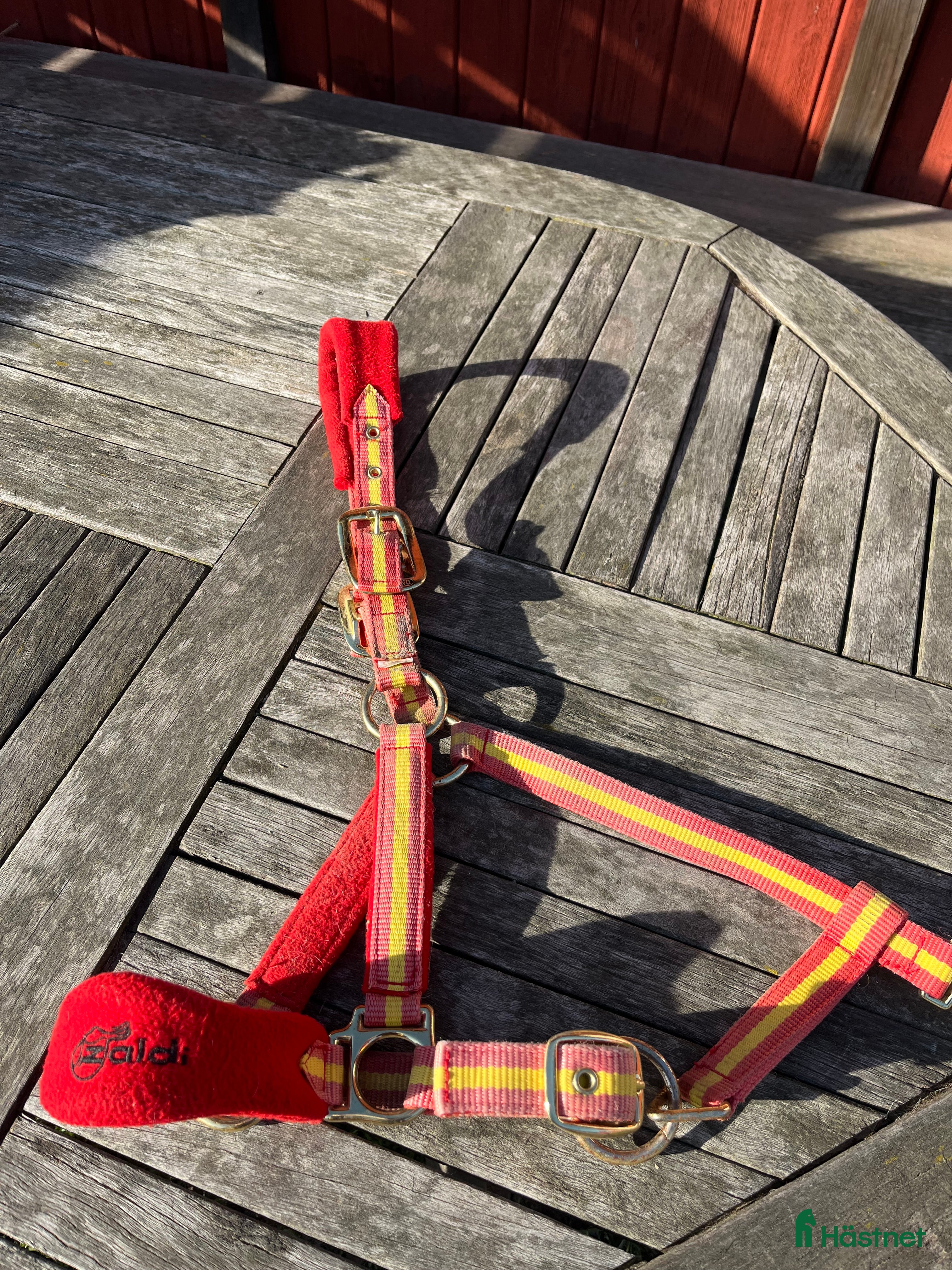 Övrig Hästutrustning hästutrustning till salu: Zaldi grimma  i Solna - Annons 1