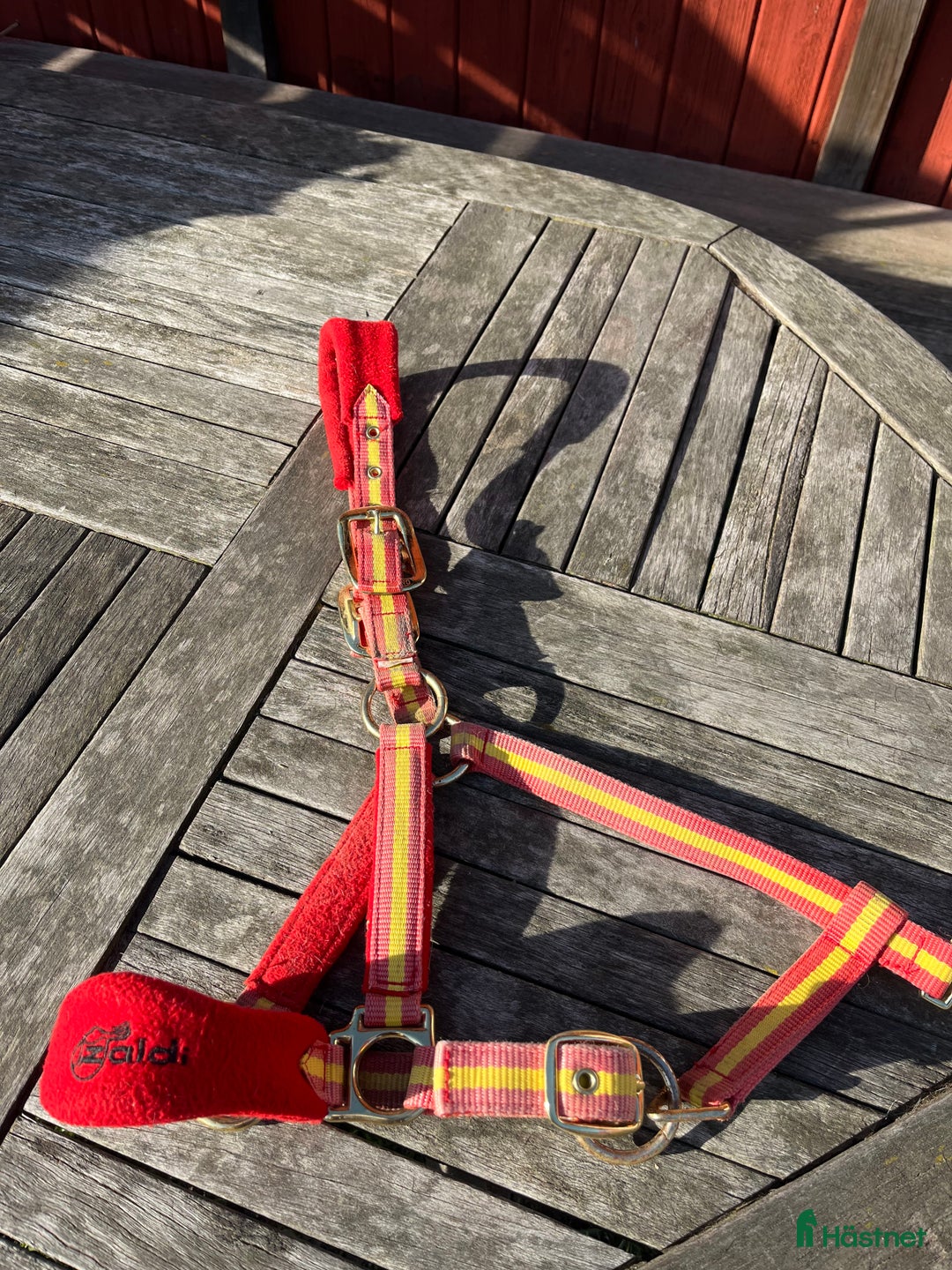 Övrig Hästutrustning hästutrustning till salu: Zaldi grimma  i Solna - Annons 1