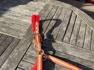 Övrig Hästutrustning hästutrustning till salu: Zaldi grimma i Solna - Annons 3